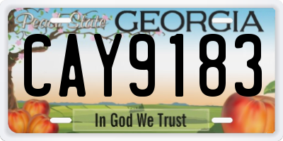 GA license plate CAY9183