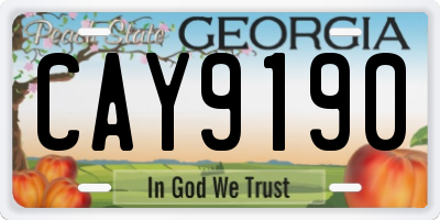 GA license plate CAY9190