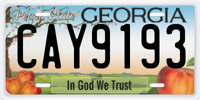 GA license plate CAY9193