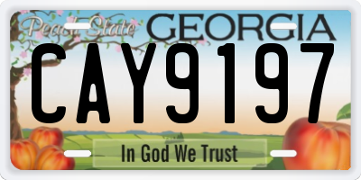 GA license plate CAY9197