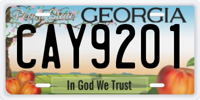 GA license plate CAY9201