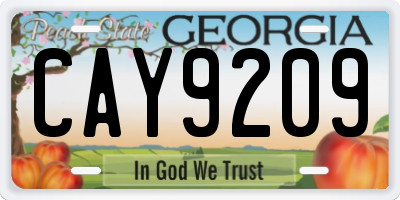GA license plate CAY9209