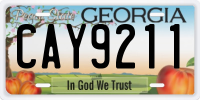 GA license plate CAY9211