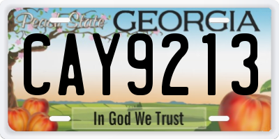 GA license plate CAY9213