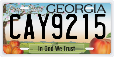 GA license plate CAY9215