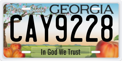 GA license plate CAY9228