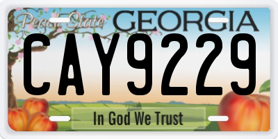 GA license plate CAY9229