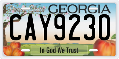 GA license plate CAY9230
