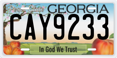 GA license plate CAY9233