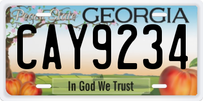 GA license plate CAY9234