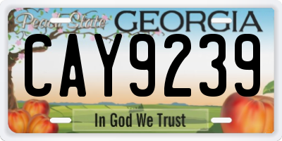 GA license plate CAY9239