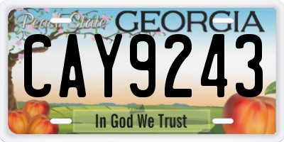 GA license plate CAY9243