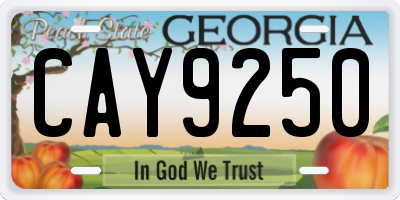 GA license plate CAY9250