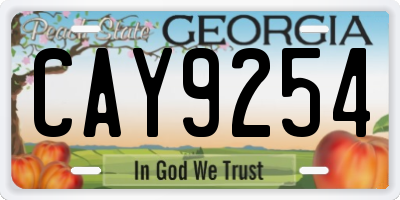 GA license plate CAY9254