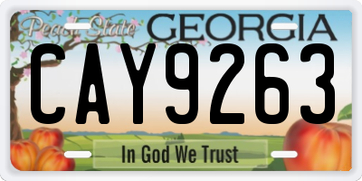 GA license plate CAY9263
