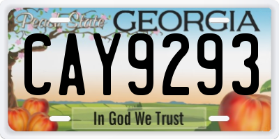 GA license plate CAY9293