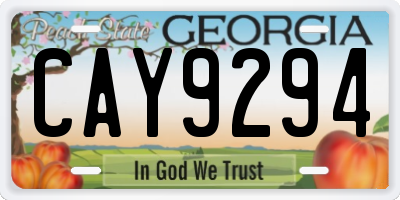 GA license plate CAY9294