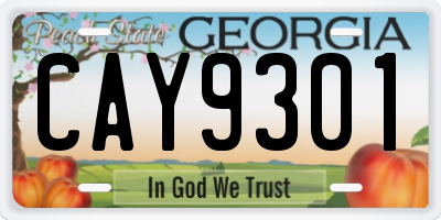 GA license plate CAY9301