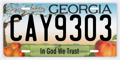 GA license plate CAY9303