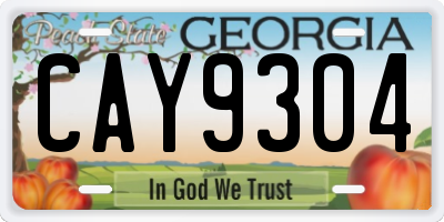GA license plate CAY9304
