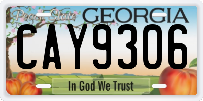 GA license plate CAY9306
