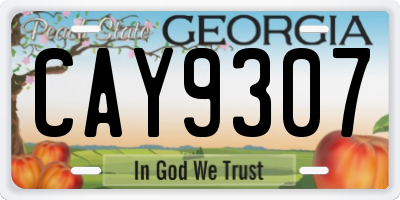 GA license plate CAY9307