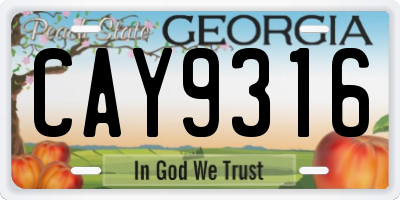 GA license plate CAY9316