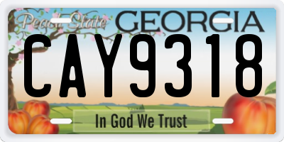 GA license plate CAY9318