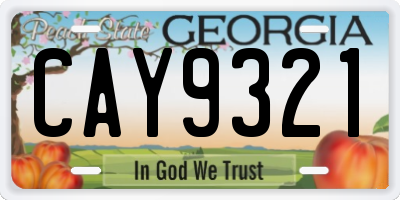 GA license plate CAY9321