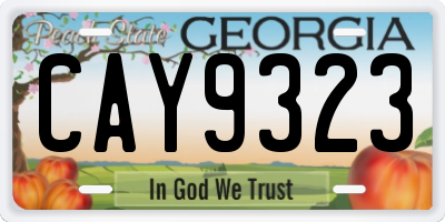 GA license plate CAY9323