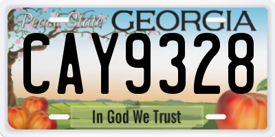 GA license plate CAY9328