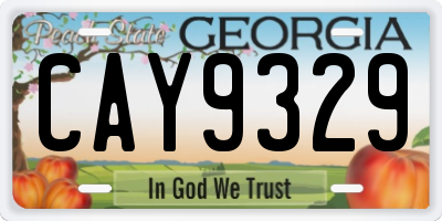 GA license plate CAY9329