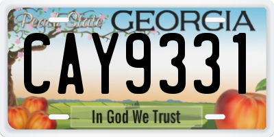GA license plate CAY9331