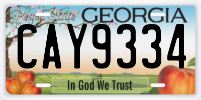 GA license plate CAY9334