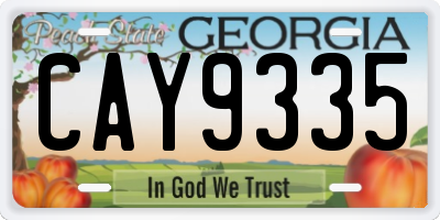 GA license plate CAY9335