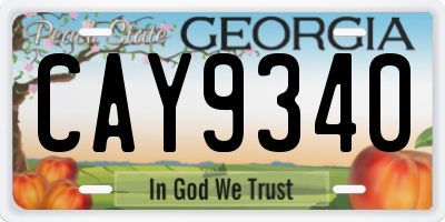 GA license plate CAY9340