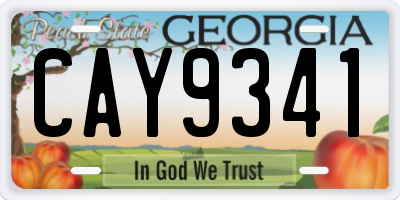GA license plate CAY9341
