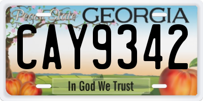 GA license plate CAY9342