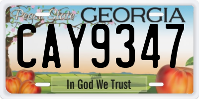 GA license plate CAY9347