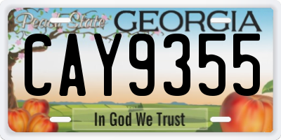 GA license plate CAY9355