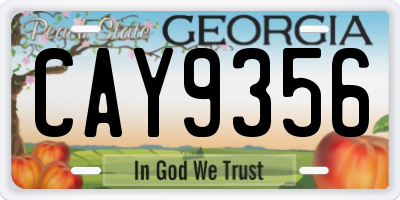 GA license plate CAY9356