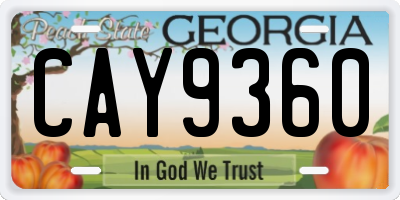 GA license plate CAY9360