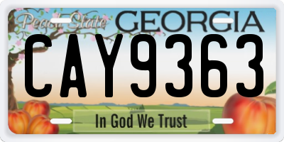 GA license plate CAY9363