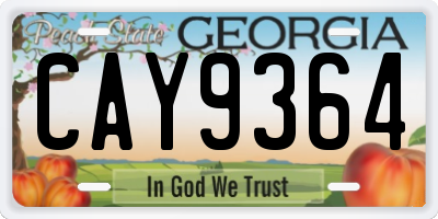 GA license plate CAY9364