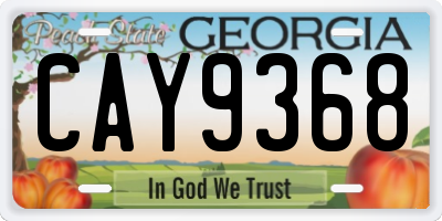 GA license plate CAY9368