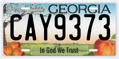 GA license plate CAY9373