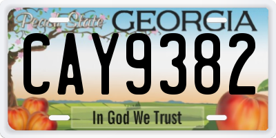 GA license plate CAY9382