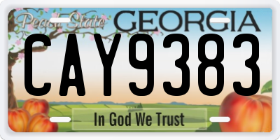 GA license plate CAY9383