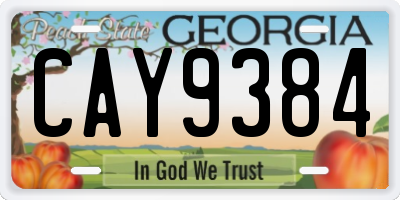 GA license plate CAY9384