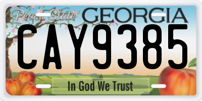 GA license plate CAY9385